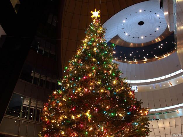 Обои картинки фото праздничные, Ёлки