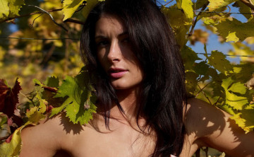 Картинка Kocsis+Orsi девушки волосы