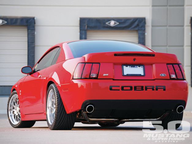 Обои картинки фото 2004, ford, cobra, автомобили, mustang