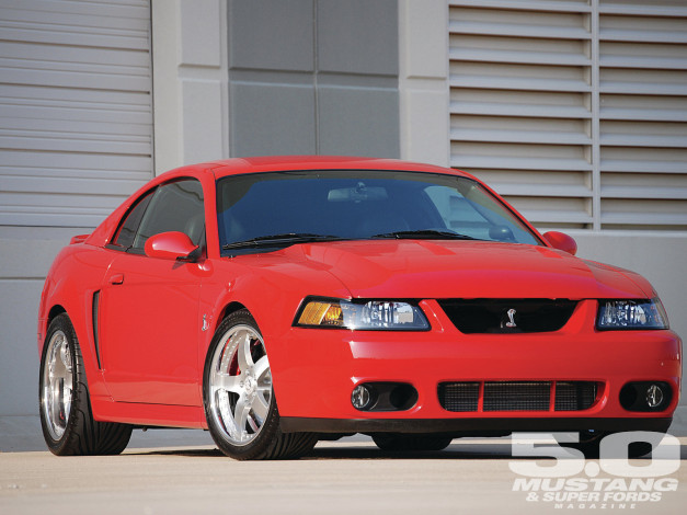 Обои картинки фото 2004, ford, cobra, автомобили, mustang