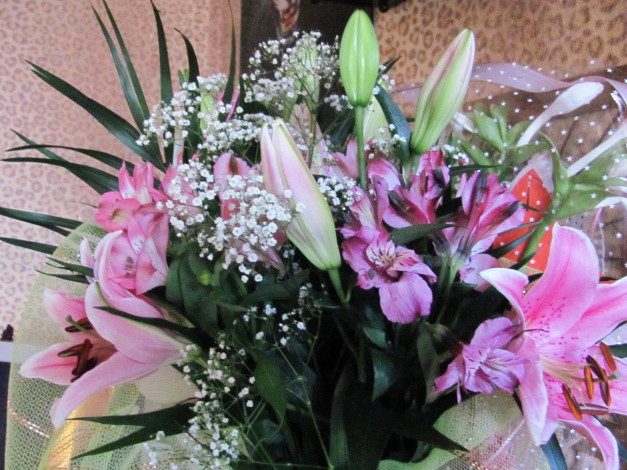 Обои картинки фото цветы, букеты, композиции, лилии, гипсофила