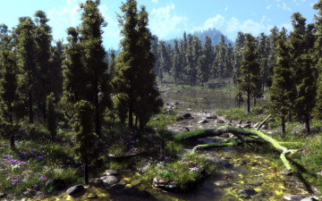 Картинка 3д графика nature landscape природа деревья