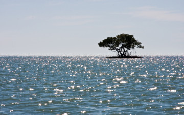 Картинка 3д графика sea undersea море остров