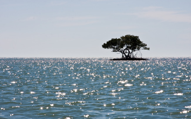 Обои картинки фото 3д, графика, sea, undersea, море, остров