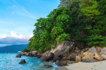 Картинка природа побережье зелень море