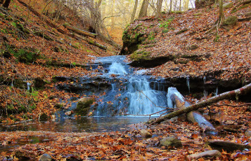 Картинка природа водопады овраг водопад листва ручей лес
