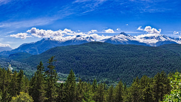 Картинка природа горы облака лес