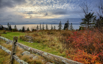 Картинка природа реки озера лес изгородь осень озеро опушка тучи