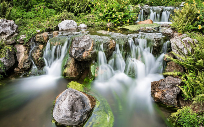 Обои картинки фото природа, водопады, лес, каскад, водопад, папоротники, река