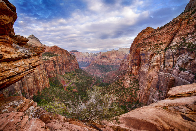 Обои картинки фото природа, горы, ущелье, растительность, облака, скалы