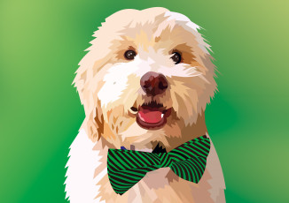 Картинка векторная+графика животные+ animals щенок фон собака взгляд