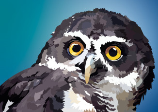 Картинка векторная+графика животные+ animals взгляд сова фон