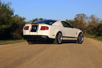 Картинка автомобили mustang snake super shelby gt500