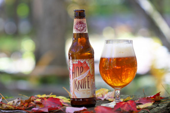 Картинка бренды бренды+напитков+ разное пиво