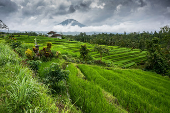 Картинка города -+пейзажи хутор