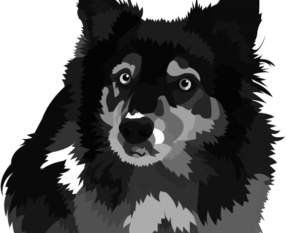 Обои картинки фото векторная графика, животные , animals, собака, взгляд, друг