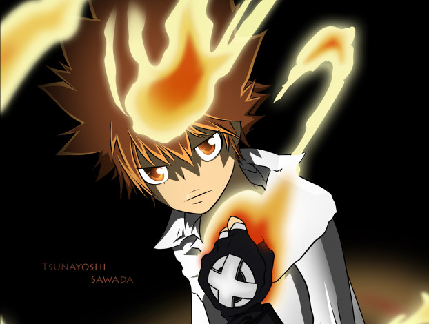 Обои картинки фото аниме, katekyo hitman reborn, тцунаёши, саввада, пламя, арт, взгляд, парень