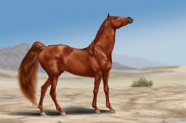 Обои картинки фото рисованное, животные,  лошади, лошадь, фон