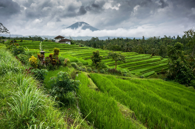 Обои картинки фото города, - пейзажи, хутор
