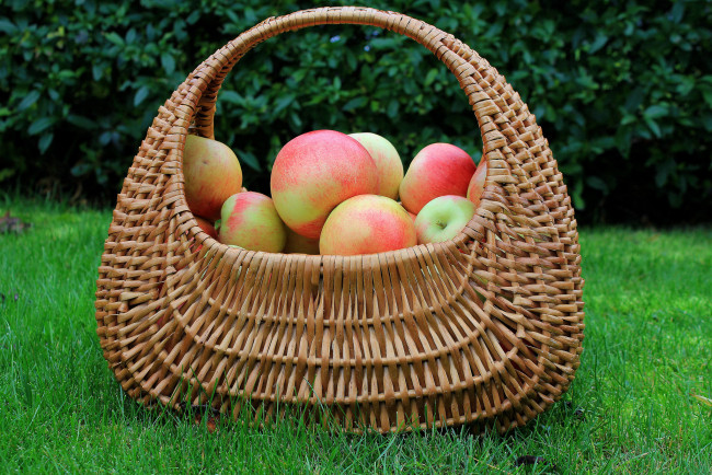 Обои картинки фото еда, Яблоки, яблочки