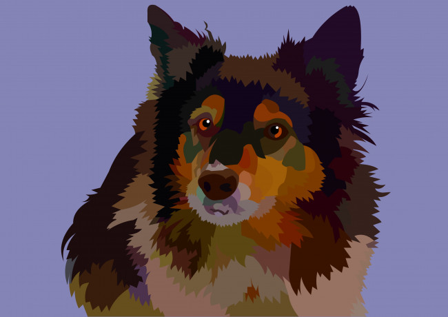 Обои картинки фото векторная графика, животные , animals, фон, взгляд, собака