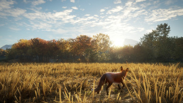 Картинка видео+игры the+hunter the hunter