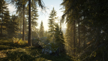 Картинка видео+игры the+hunter the hunter