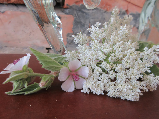 Обои картинки фото цветы, разные вместе, букетик