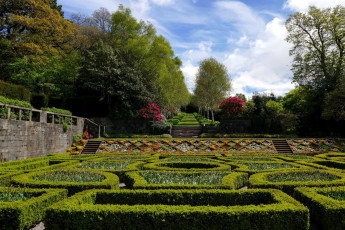 Картинка природа парк ландшафтный дизайн