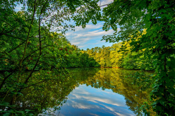 Картинка природа реки озера простор