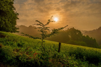 Картинка природа восходы закаты простор