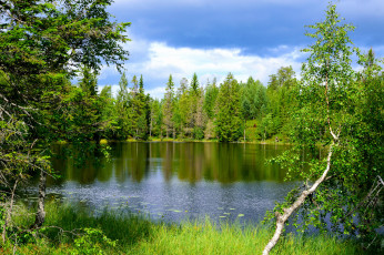 Картинка природа реки озера простор