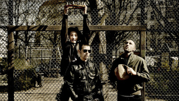 Картинка freundeskreis музыка группа