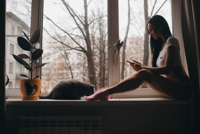 Обои картинки фото девушка, девушки, -unsort , брюнетки, темноволосые, модель, темнота, женщины, пoдoкoльник, кошки, животные, сидя, окно, в, помещении, с, кошками, ноги, мобильный, телефон