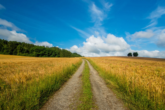 Обои картинки фото природа, дороги, простор