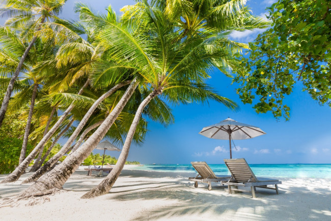 Обои картинки фото природа, тропики, простор