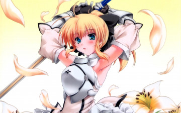 обоя аниме, fate, stay night,  grand order,  apocrypha, девочка, оружие, лепестки