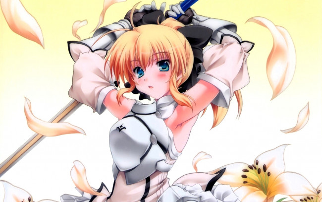 Обои картинки фото аниме, fate, stay night,  grand order,  apocrypha, девочка, оружие, лепестки