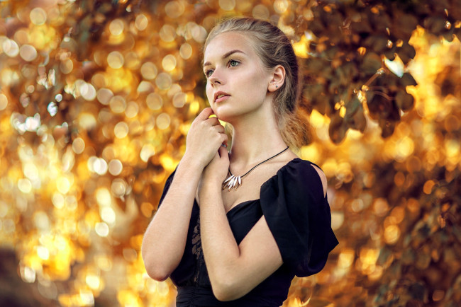 Обои картинки фото анна зорина, девушки, - блондинки,  светловолосые, блондинка, платье, осень, дерево, ветки, листья