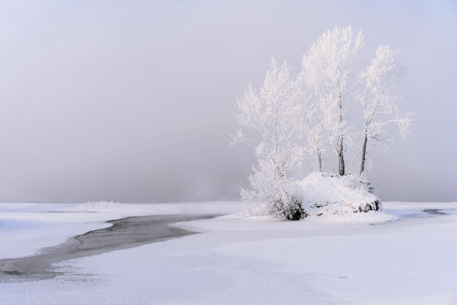 Обои картинки фото природа, зима, деревья, снег, лед, река