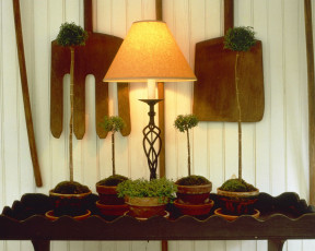 Картинка разное