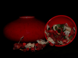 Картинка цветы