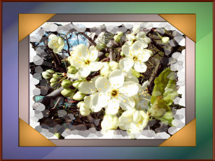 Картинка цветы цветущие деревья кустарники