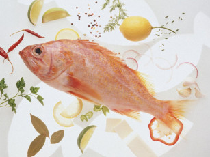 Картинка еда рыба морепродукты суши роллы