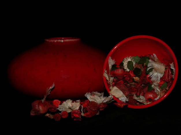 Обои картинки фото цветы