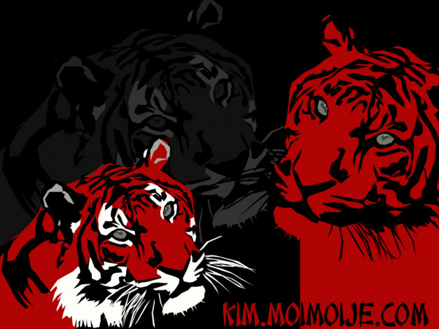 Обои картинки фото разное