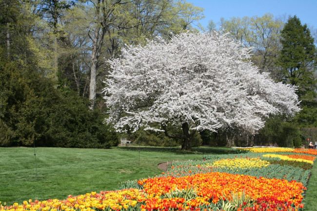 Обои картинки фото природа