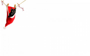 Картинка разное компьютерный дизайн