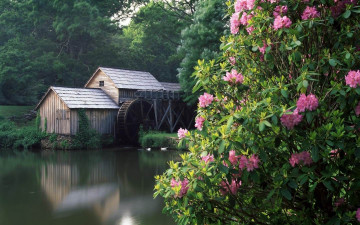 Картинка разное мельницы