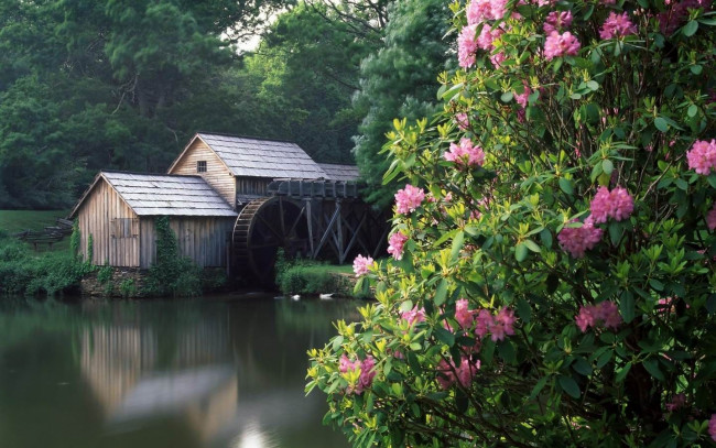 Обои картинки фото разное, мельницы